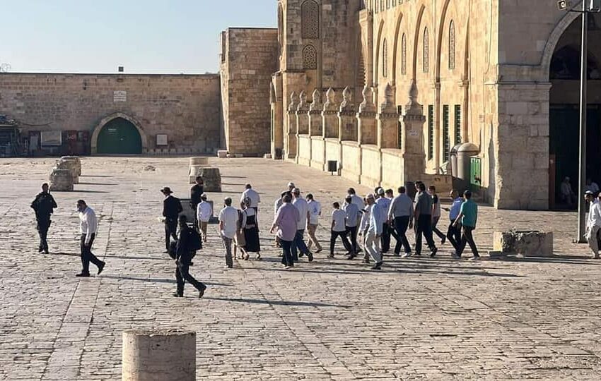  الخارجية الفلسطينية: نحذر من مخاطر تكريس المستوطنين للصلوات التلمودية في المسجد الأقصى كخطوة لتهويده بالكامل.