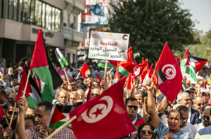 آلاف المتطوعين ينطلقون يوم غدٍ من تونس نحو معبر رفح للمطالبة بوقف حرب الإبادة