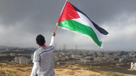 أكثر من 7500 إسرائيلي يوقعون عريضة للاعتراف بدولة فلسطين وإنهاء حرب الإبادة في قطاع غزة.. رسالة تُحرج نتنياهو