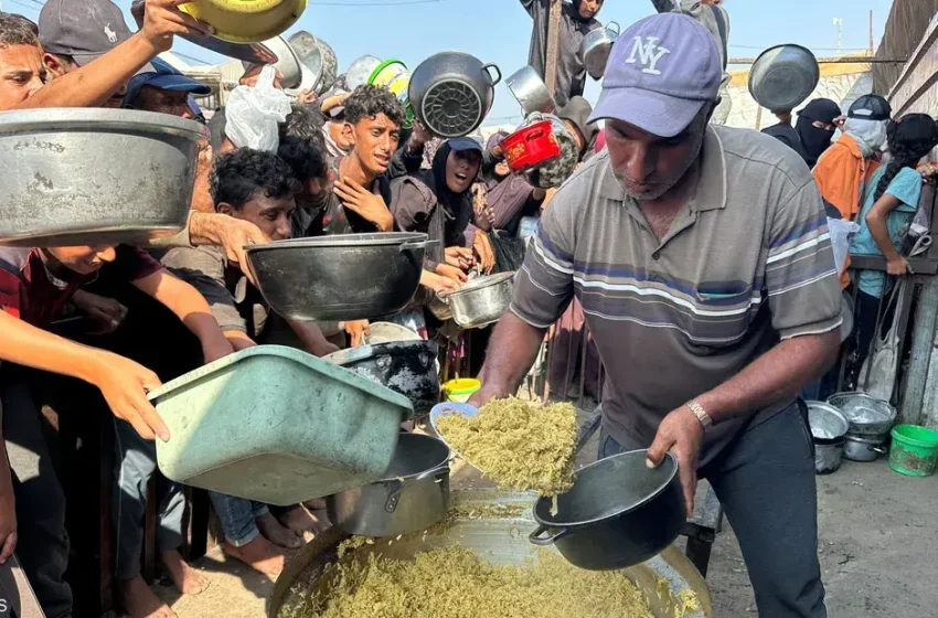  الأمم المتحدة تحذر من خطر المجاعة على ملايين البشر في 16 بؤرة حول العالم