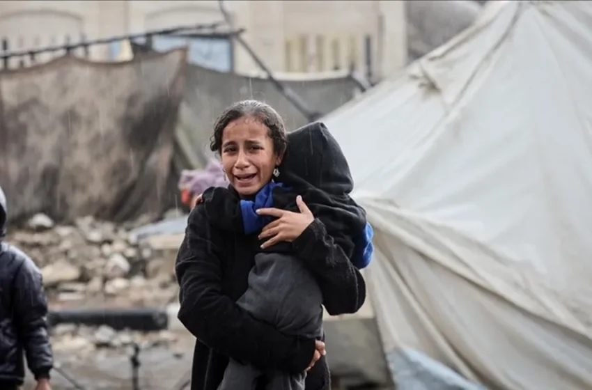  فنان هولندي يفوز بجائزة الكاريكاتير الأوروبي عن عمل ينتقد العدوان على غزة