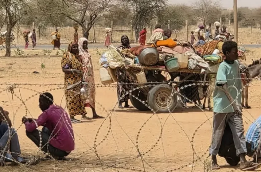  الأمم المتحدة: قوات الدعم السريع قتلت أكثر من ألف مدني في مخيم زمزم بالسودان