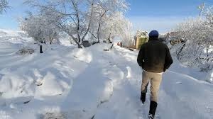  5 قتلى في عاصفة ثلجية تضرب النمسا