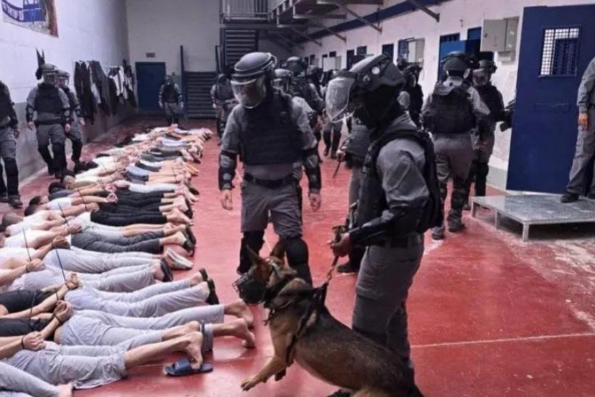  نادي الأسير الفلسطيني: 88 شهيدا بين صفوف الأسرى والمعتقلين المعلومة هوياتهم بعد حرب الإبادة