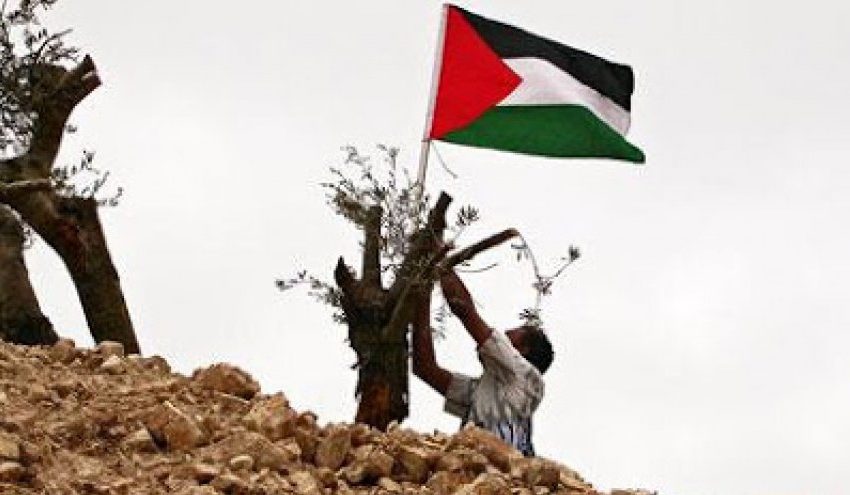  50 عاماً على يوم الأرض… الفلسطينيون بمواجهة معركة وجودية