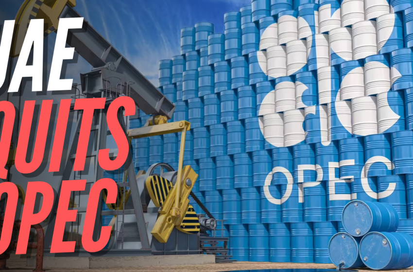  الإمارات تنسحب من “أوبك” و”أوبك+” بداية من مايو المقبل  