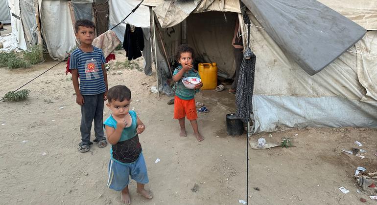  غزة تواجه ‘إرهاباً بيئياً’: القوارض تنهش أجساد الأطفال