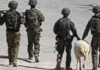  لصوص العدوان: جنود وضبّاط الاحتلال ينهبون جنوب لبنان بعلم القادة..