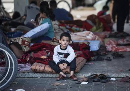  الأونروا: الجرذان تهاجم أطفال غزة أثناء نومهم في الخيام