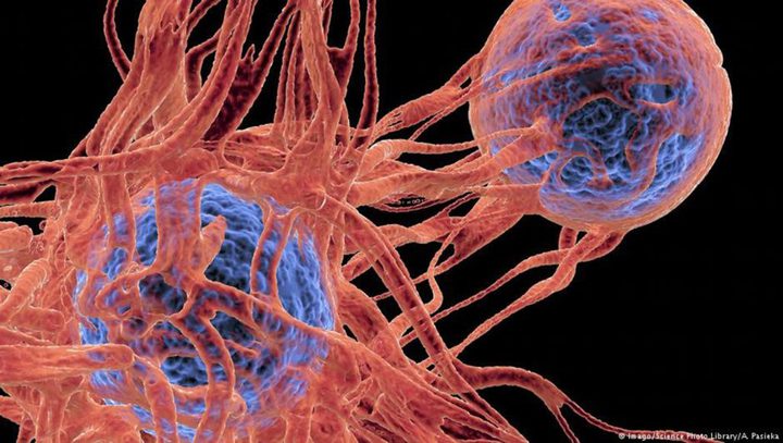  Experts Warn of Escalating Ebola Crisis in Central Africa as Conflict, Misinformation, and Funding Cuts Complicate Response