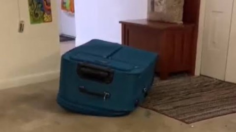  جريمة تهز مصر.. جثتا طفلتين داخل حقيبتي سفر ومفاجأة صادمة عن المتهم