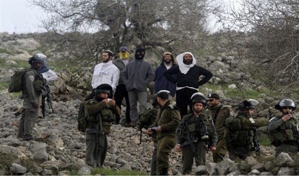  موسم الزيتون تحت التهديد.. تصاعد اعتداءات المستوطنين على المزارعين الفلسطينيين