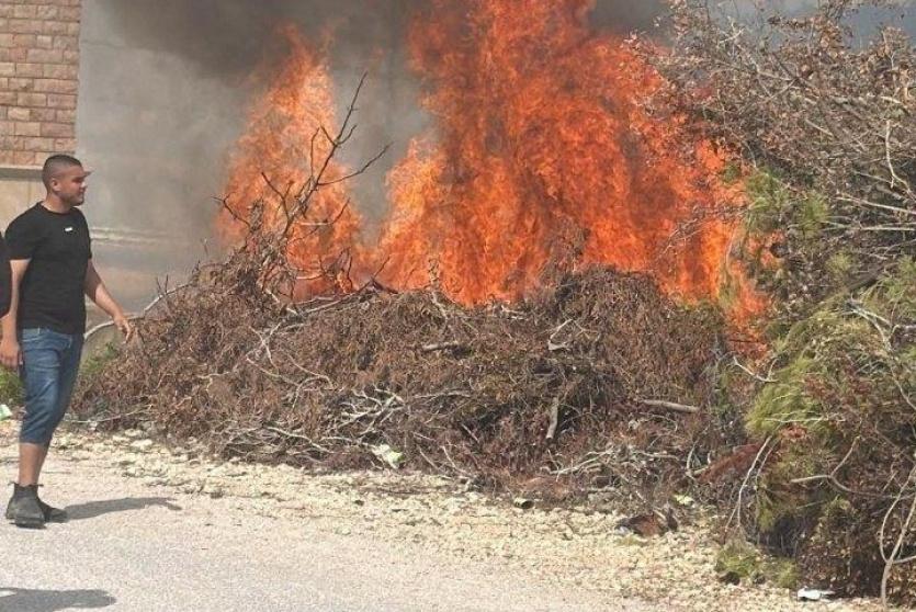  الأمم المتحدة: هجمات المستوطنين بالضفة في موسم الزيتون تصاعدت